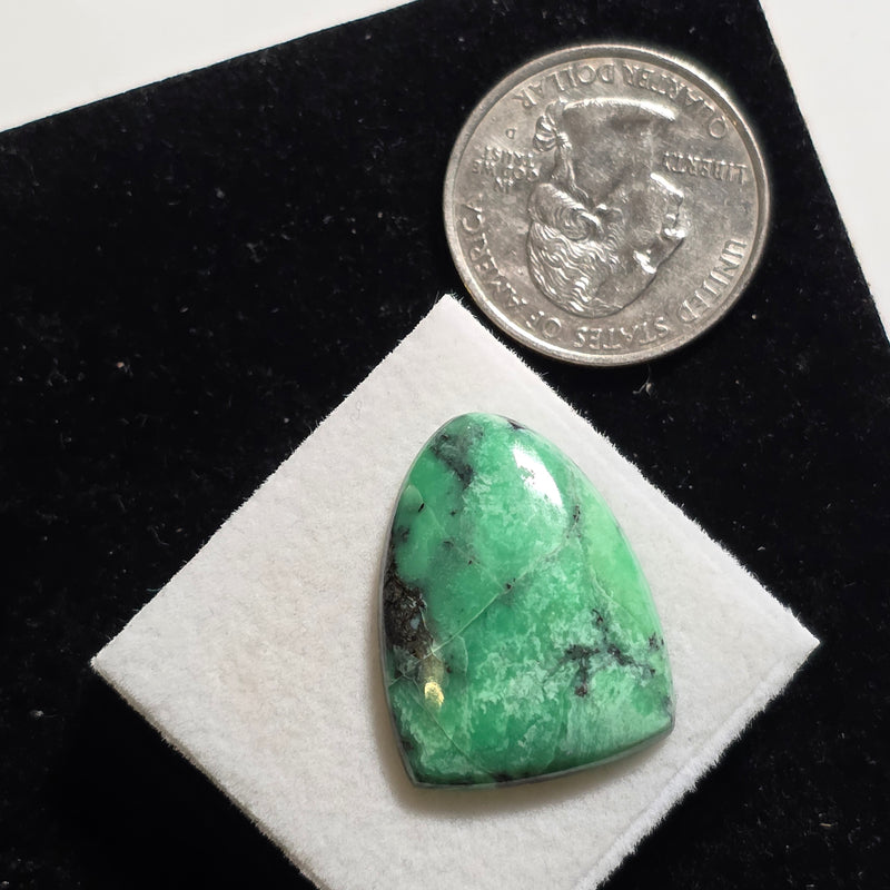 Black Bridge Variscite Cabochon