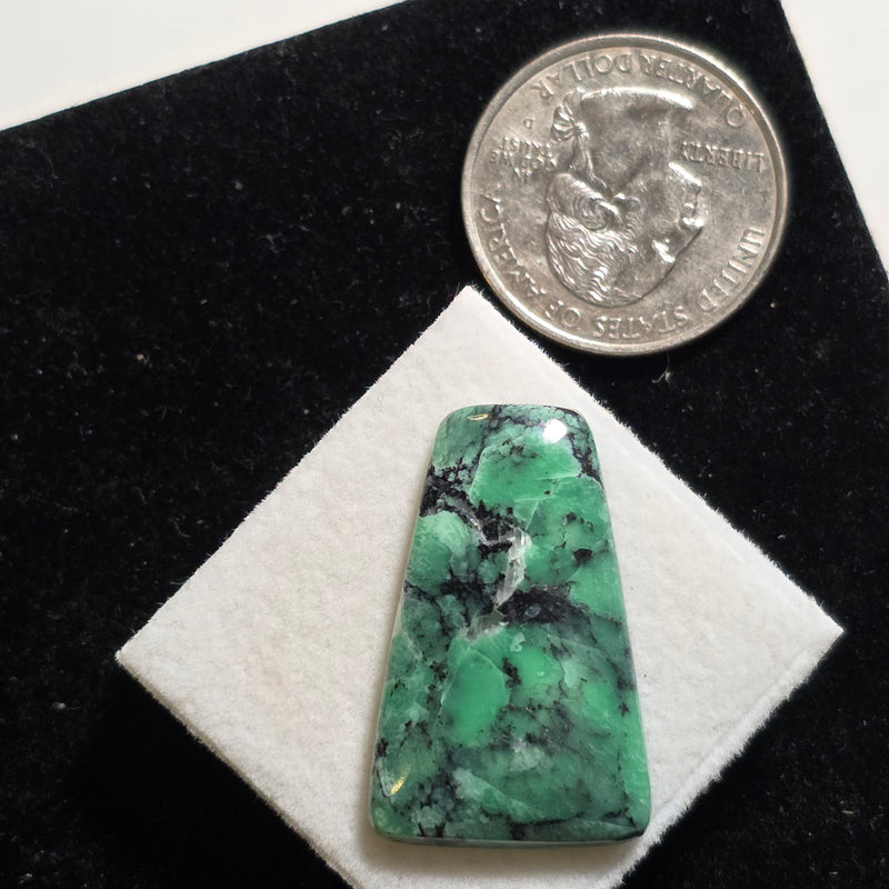 Black Bridge Variscite Cabochon