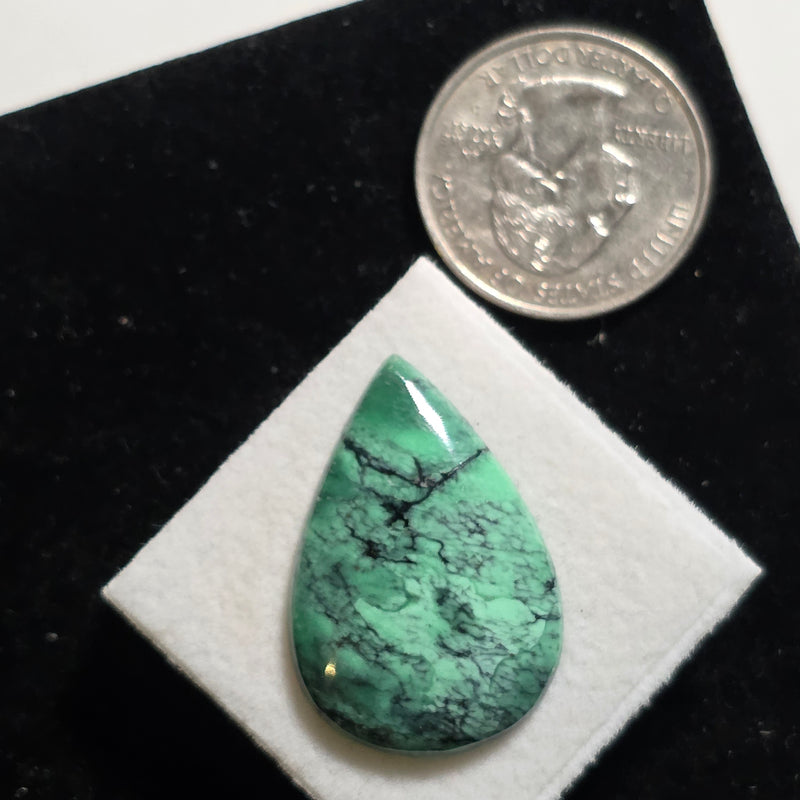 Black Bridge Variscite Cabochon