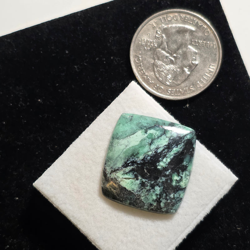 Black Bridge Variscite Cabochon