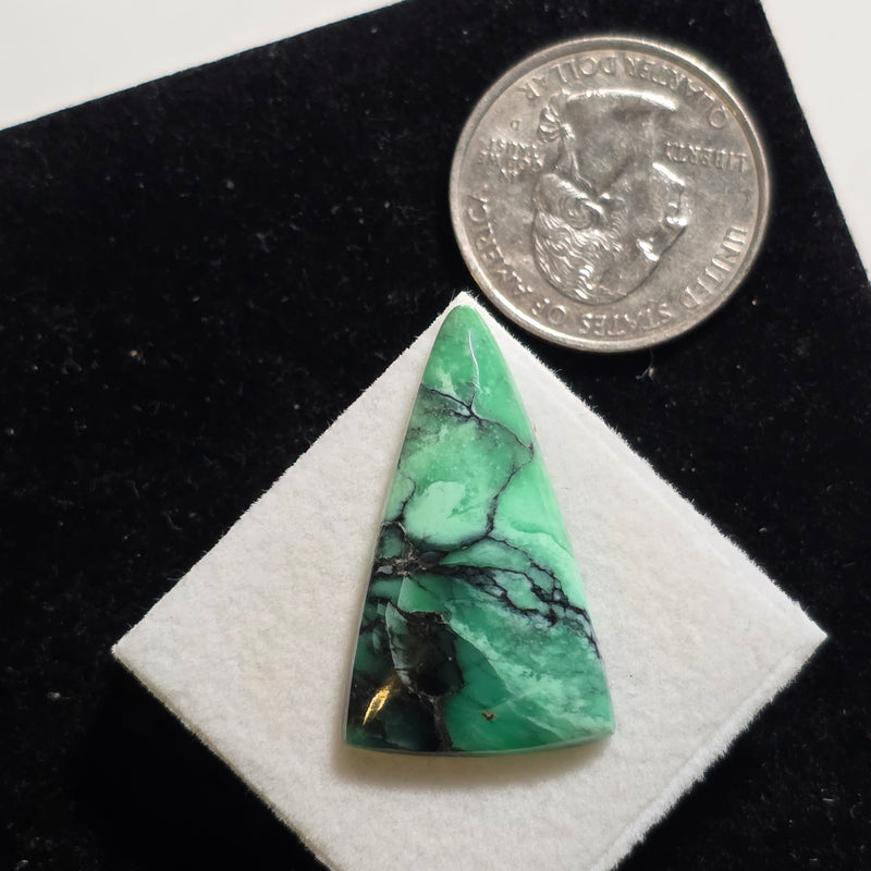Black Bridge Variscite Cabochon
