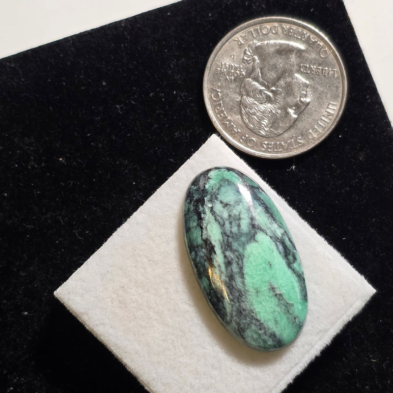 Black Bridge Variscite Cabochon