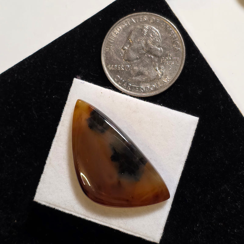 Montana Agate Cabochon