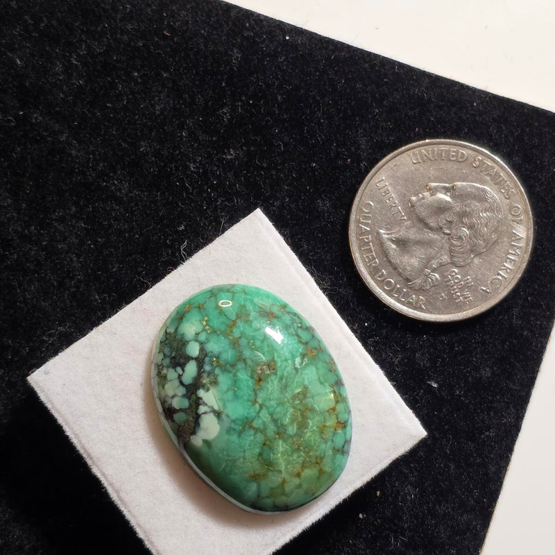Hubei Turquoise Cabochon
