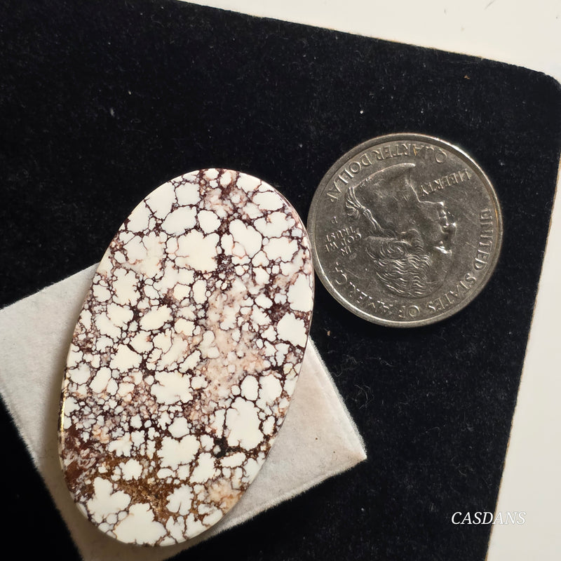 Wild Horse Magnesite Cabochon