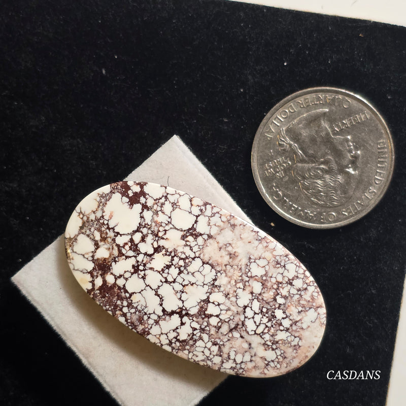 Wild Horse Magnesite Cabochon