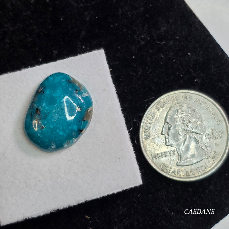 Kingman Stillwater Blue Turquoise Cabochon