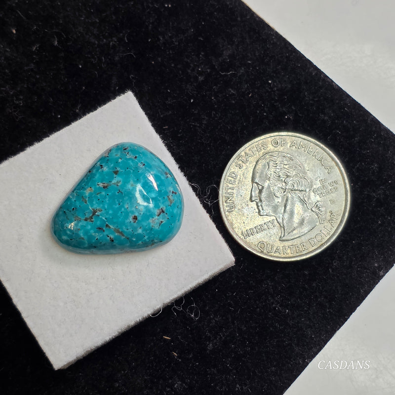 Kingman Stillwater Blue Turquoise Cabochon