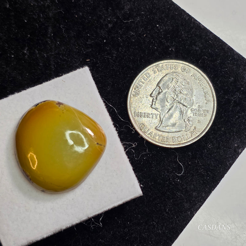 Polychrome Hubei Turquoise Cabochon