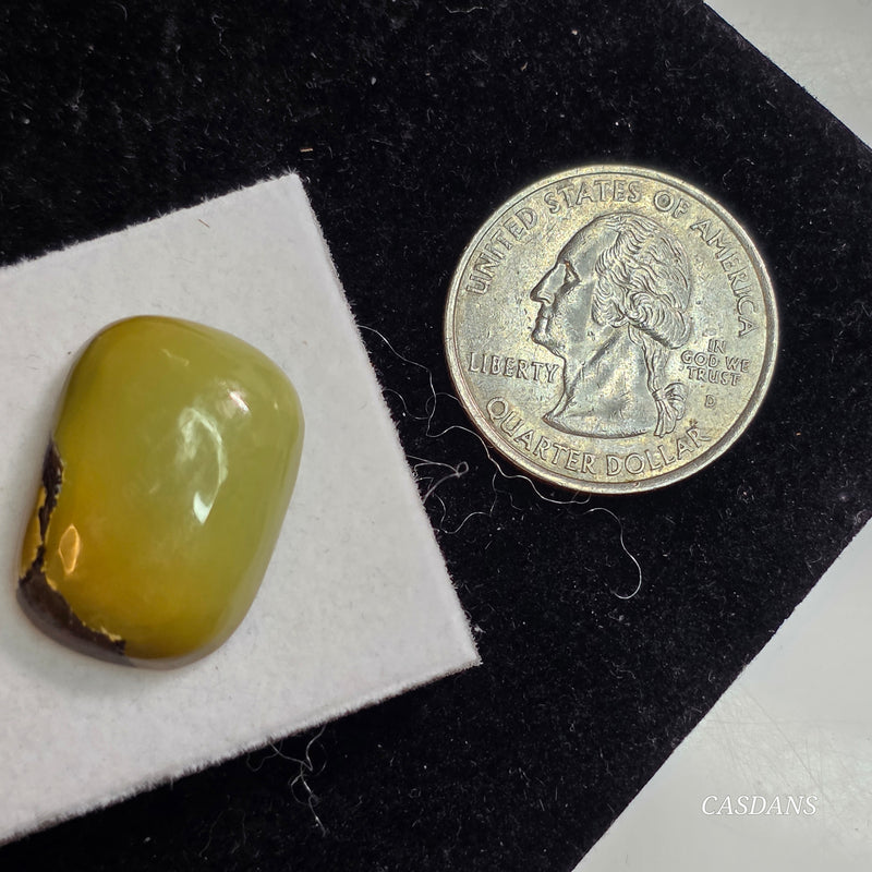 Polychrome Hubei Turquoise Cabochon