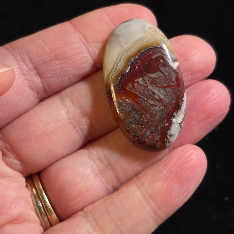 Crazy Lace Agate Cabochon