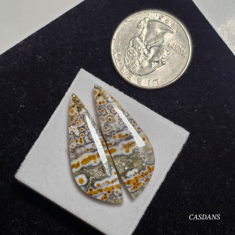 River Jasper Cabochon Pair