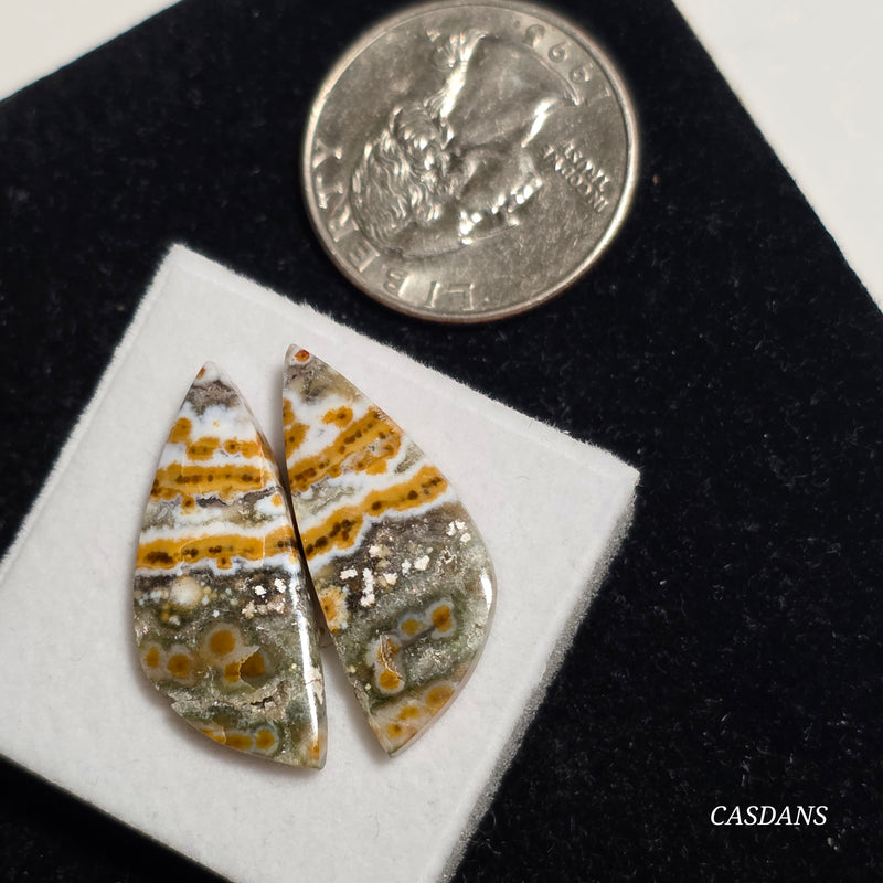 River Jasper Cabochon Pair