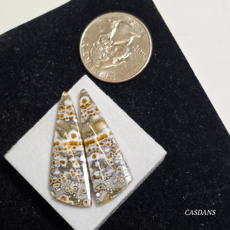 River Jasper Cabochon Pair