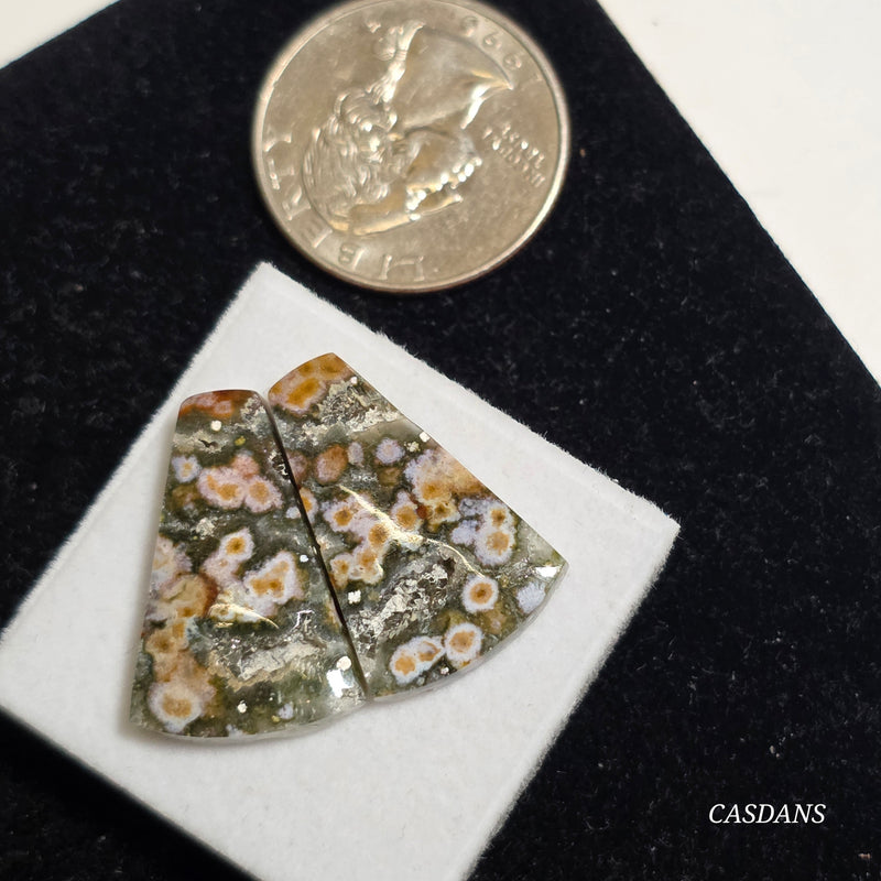River Jasper Cabochon Pair