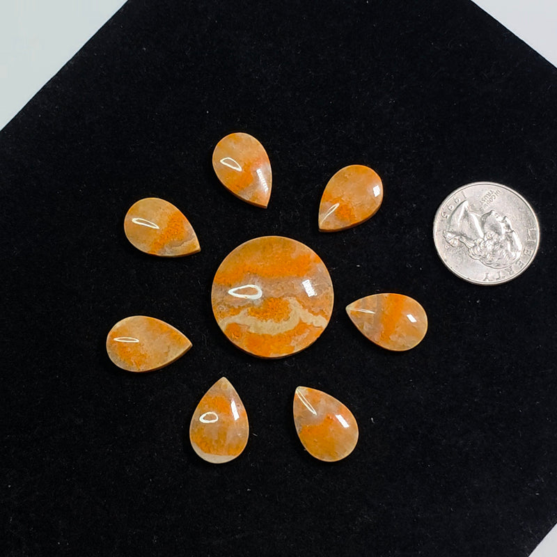 Bumblebee Stone Flower Set (8 Piece Set)