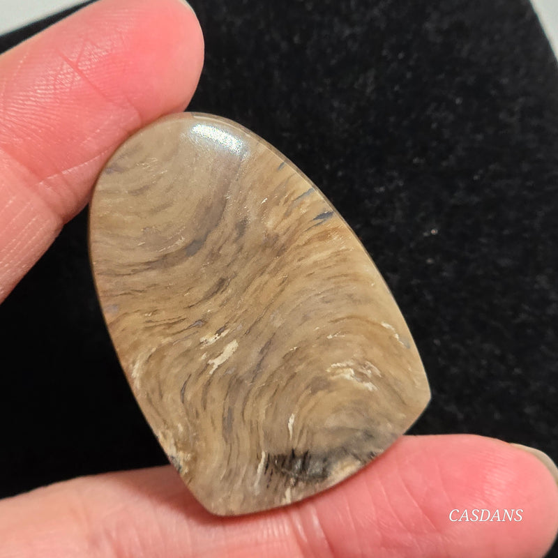 Plume Agate Cabochon