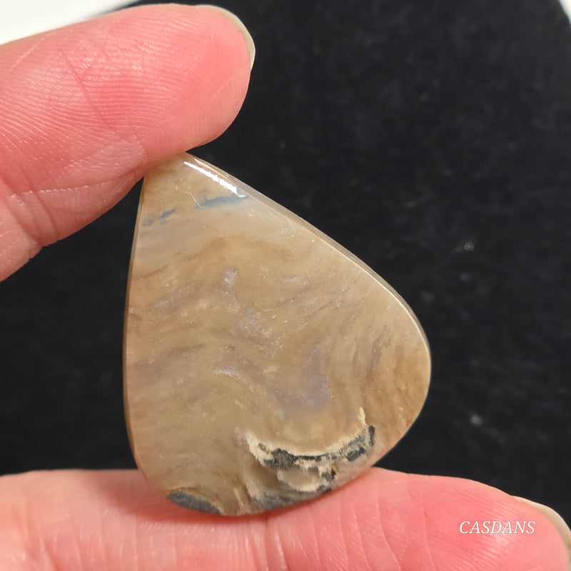 Plume Agate Cabochon