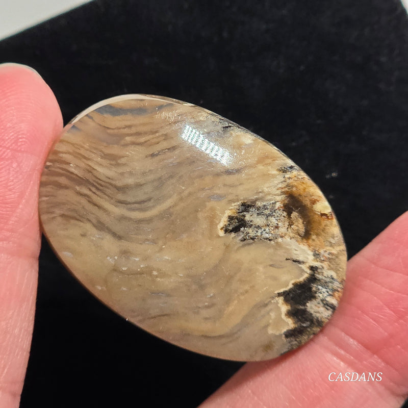 Plume Agate Cabochon