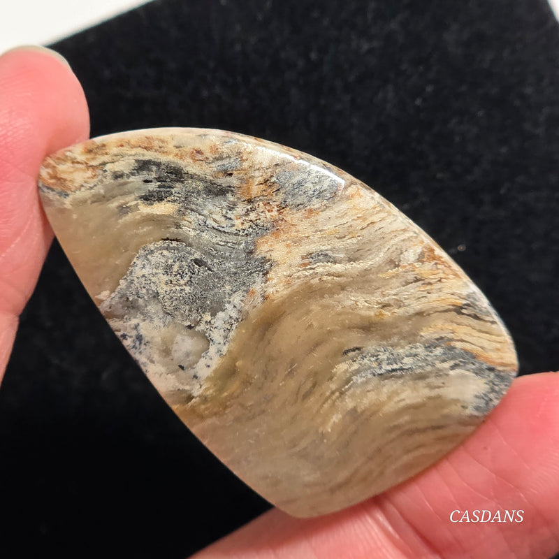 Plume Agate Cabochon
