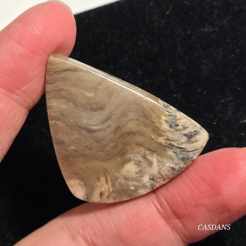 Plume Agate Cabochon