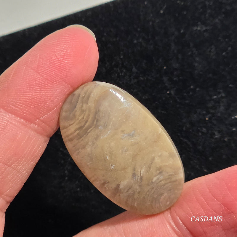 Plume Agate Cabochon