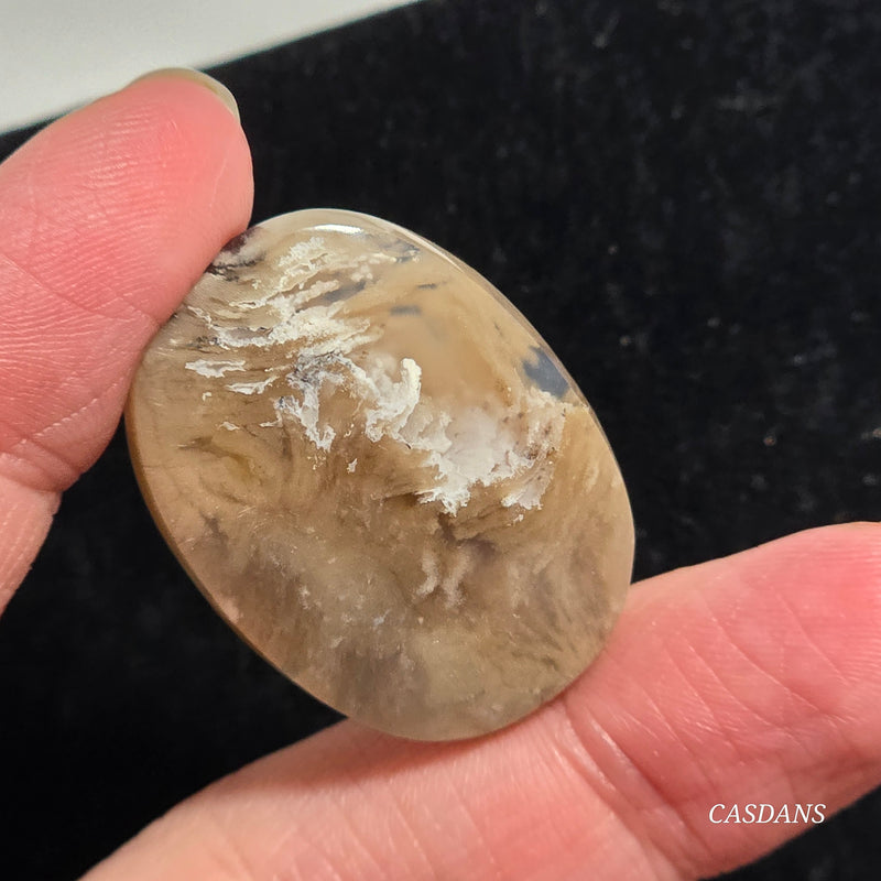 Plume Agate Cabochon