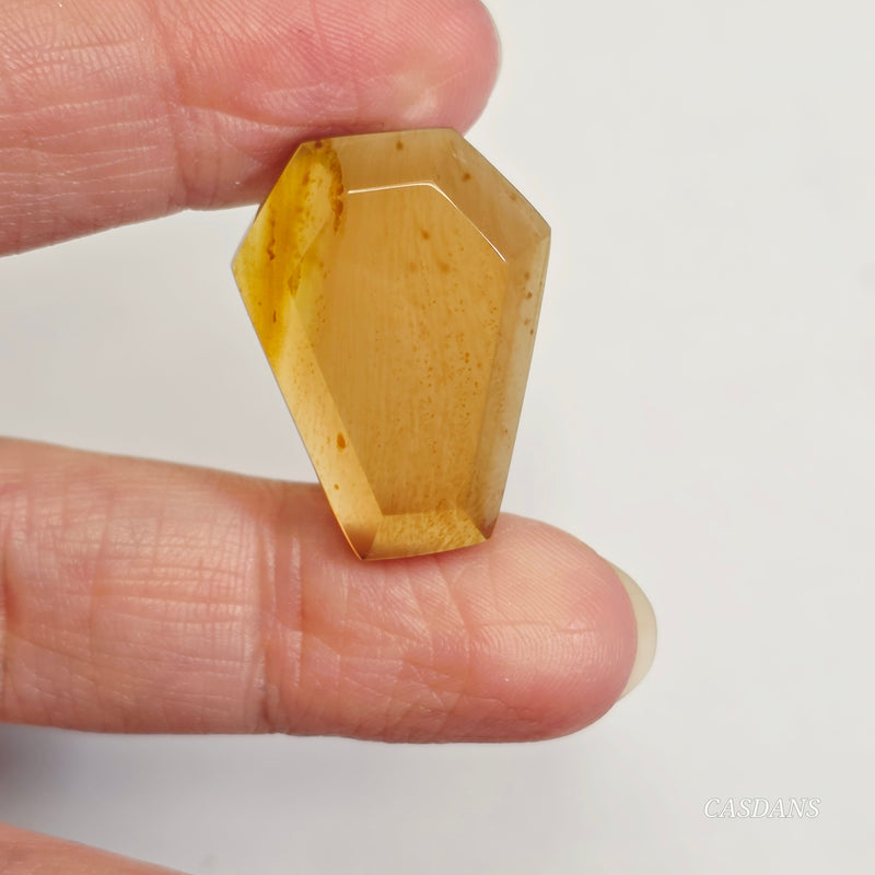 Indonesian Amber Coffin