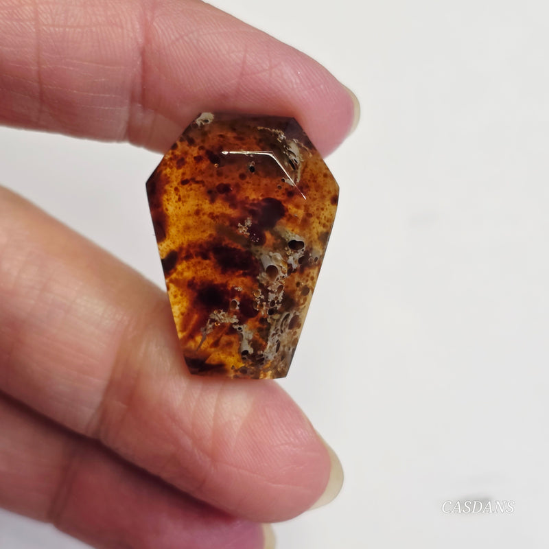 Indonesian Amber Coffin