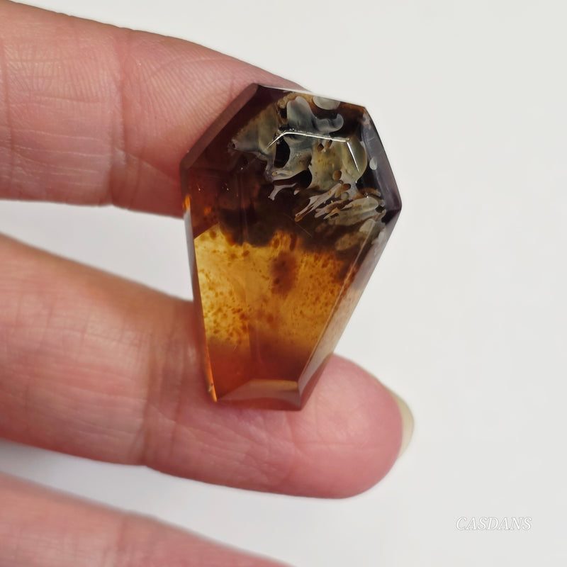 Indonesian Amber Coffin