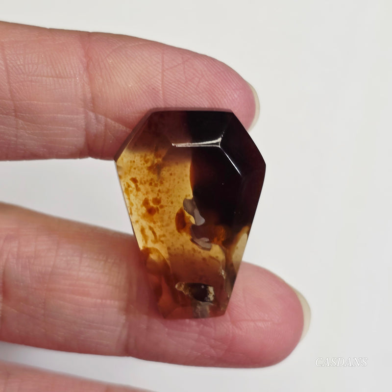 Indonesian Amber Coffin