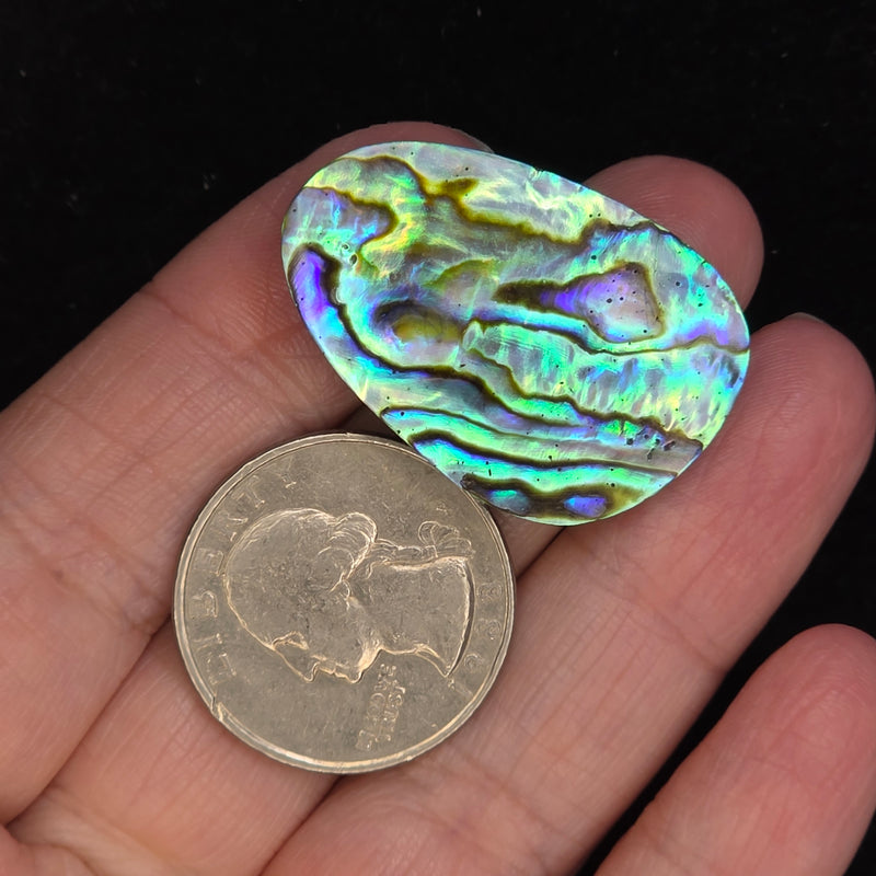 Abalone Shell Cabochon