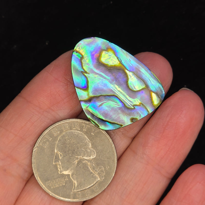 Abalone Shell Cabochon