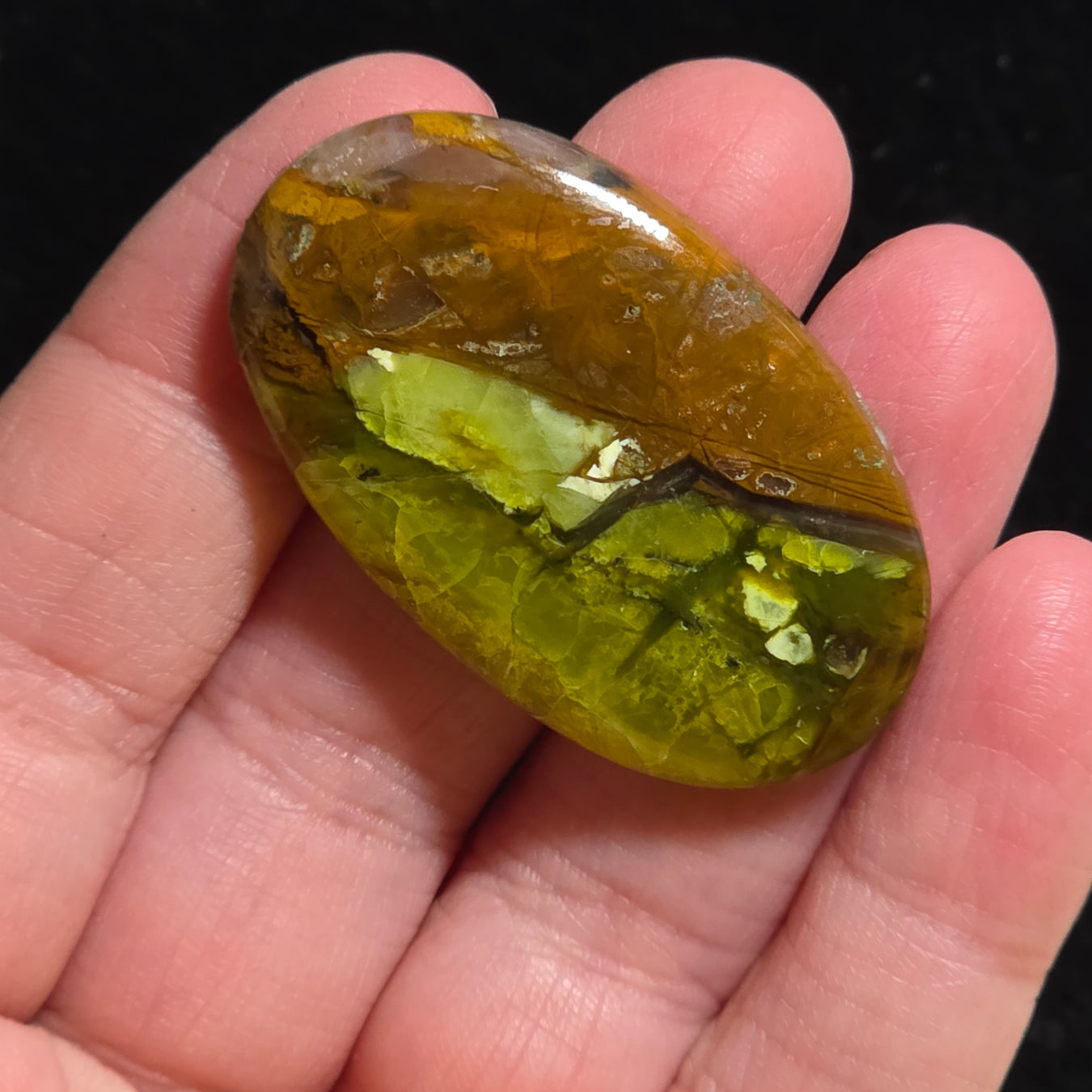 Common  Opal