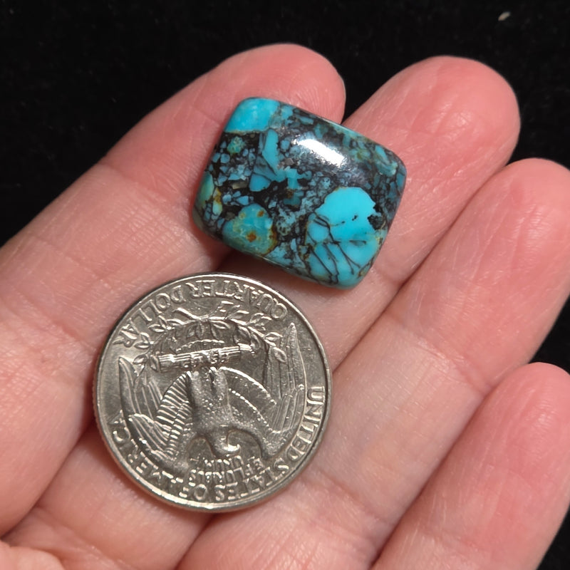 Kingman Turquoise Composite Cabochon