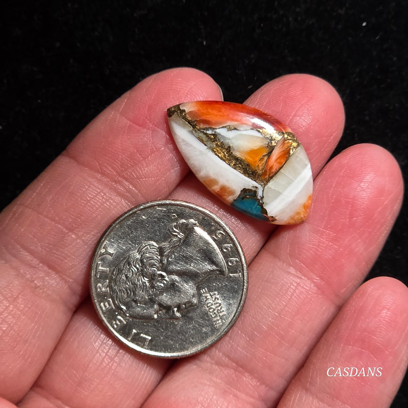 Spiny Oyster and Kingman Turquoise Composite Cabochon