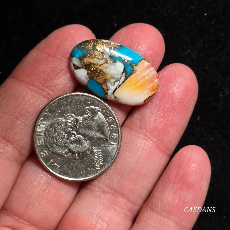 Spiny Oyster and Kingman Turquoise Composite Cabochon
