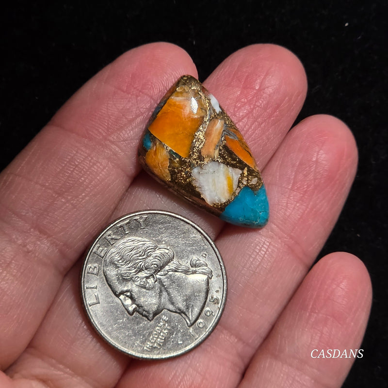 Spiny Oyster and Kingman Turquoise Composite Cabochon