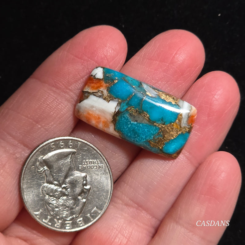 Spiny Oyster and Kingman Turquoise Composite Cabochon