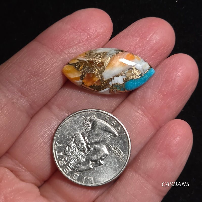 Spiny Oyster and Kingman Turquoise Composite Cabochon