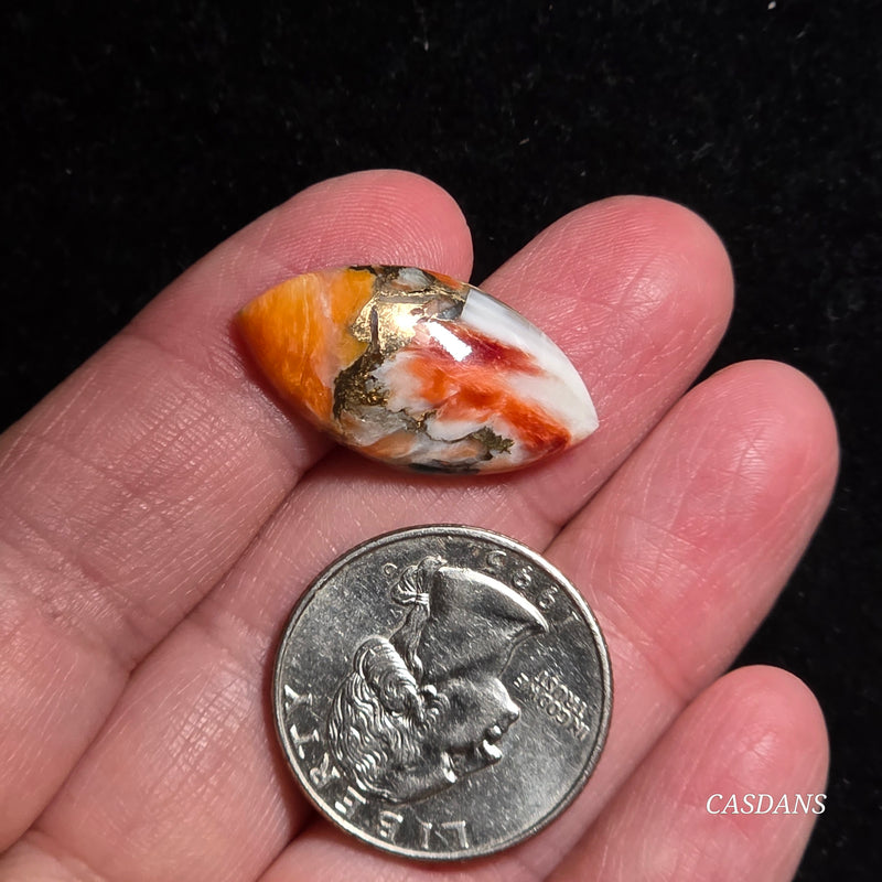 Spiny Oyster and Kingman Turquoise Composite Cabochon