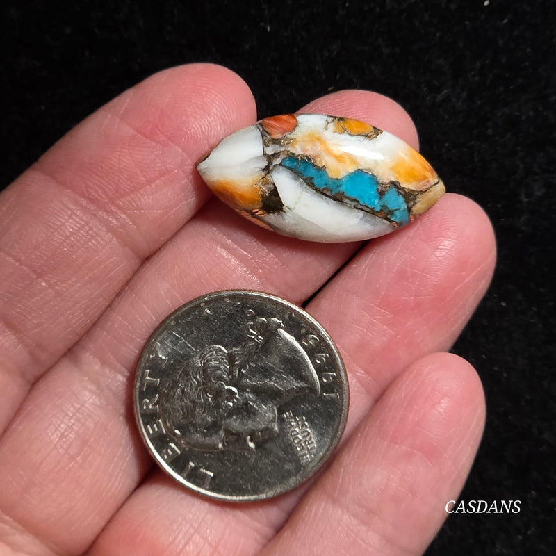 Spiny Oyster and Kingman Turquoise Composite Cabochon