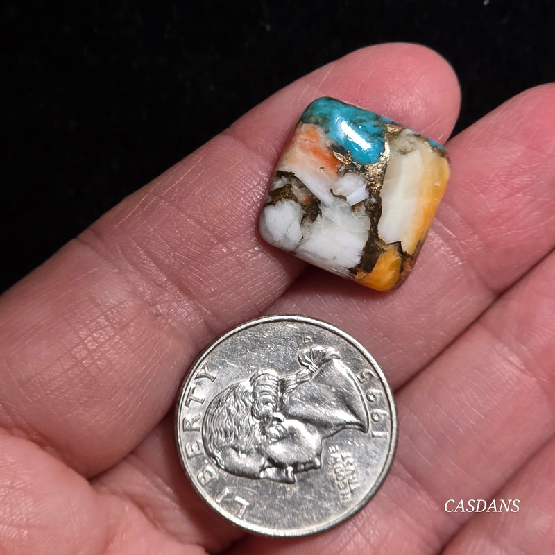 Spiny Oyster and Kingman Turquoise Composite Cabochon