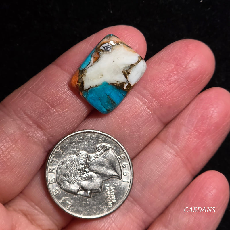Spiny Oyster and Kingman Turquoise Composite Cabochon