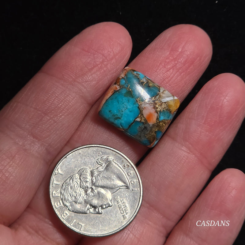 Spiny Oyster and Kingman Turquoise Composite Cabochon