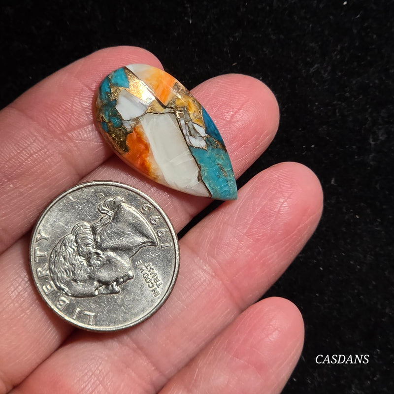 Spiny Oyster and Kingman Turquoise Composite Cabochon