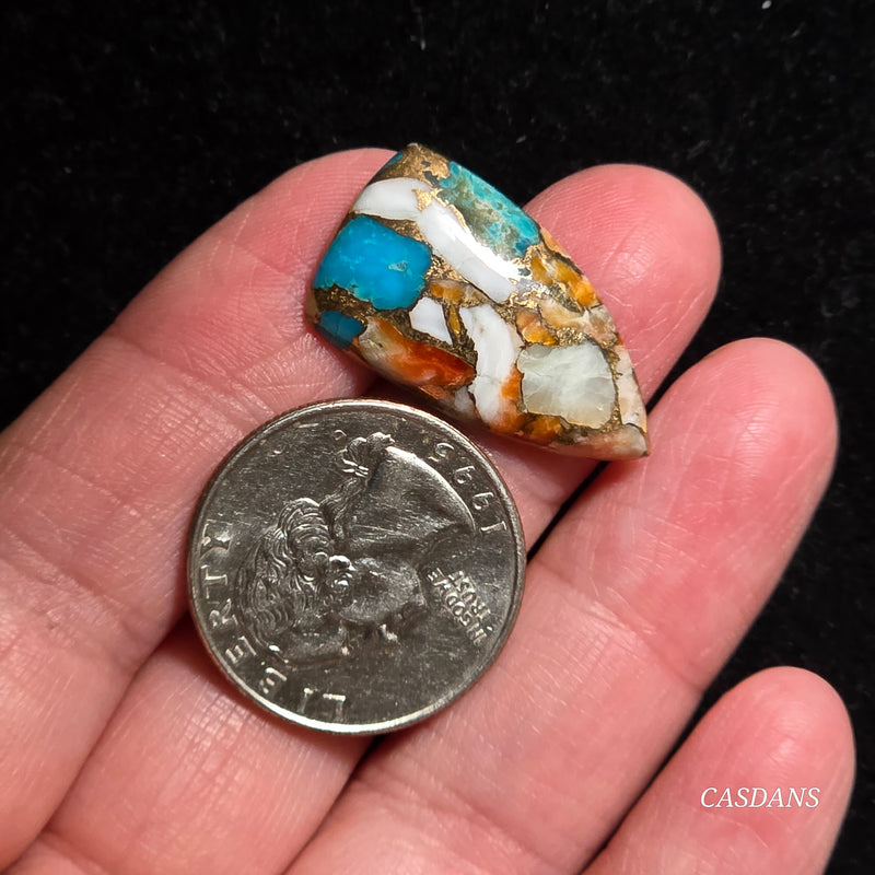 Spiny Oyster and Kingman Turquoise Composite Cabochon