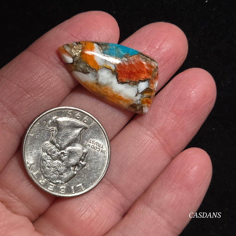 Spiny Oyster and Kingman Turquoise Composite Cabochon