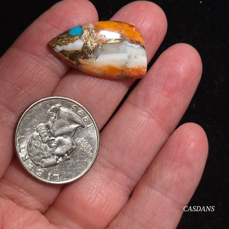 Spiny Oyster and Kingman Turquoise Composite Cabochon