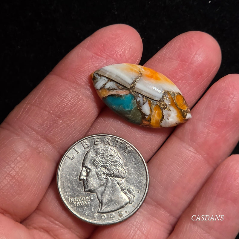 Spiny Oyster and Kingman Turquoise Composite Cabochon